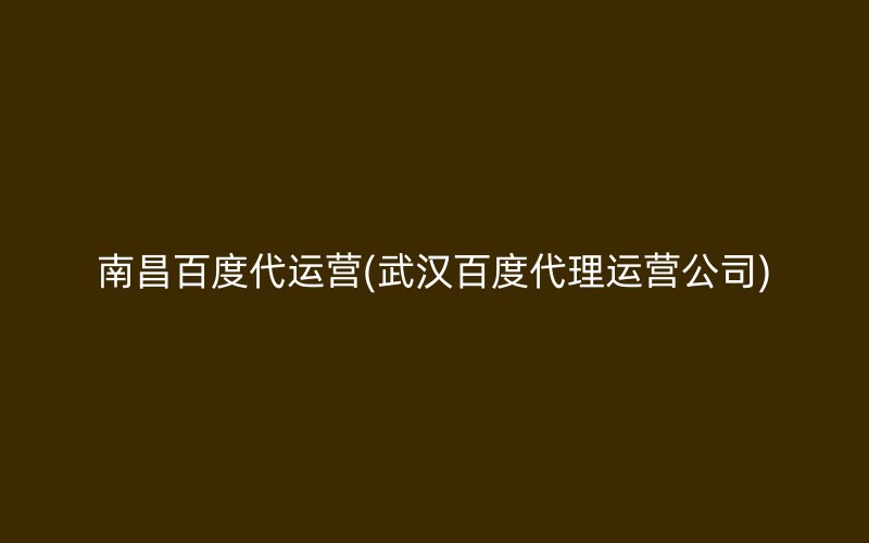 南昌百度代運營(武漢百度代理運營公司)