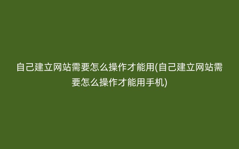 自己建立網站需要怎么操作才能用(自己建立網站需要怎么操作才能用手機)