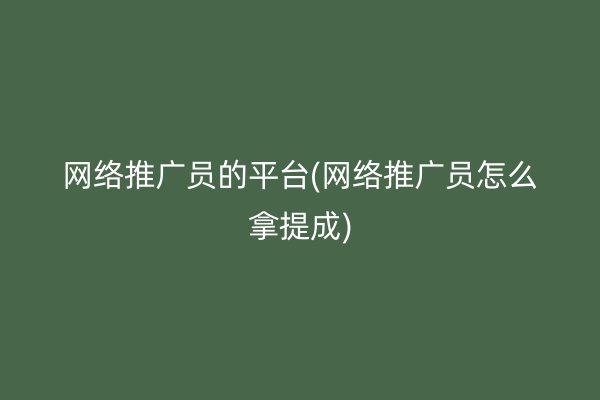 網(wǎng)絡(luò)推廣員的平臺(tái)(網(wǎng)絡(luò)推廣員怎么拿提成)