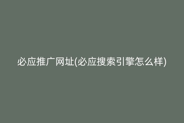 必應(yīng)推廣網(wǎng)址(必應(yīng)搜索引擎怎么樣)