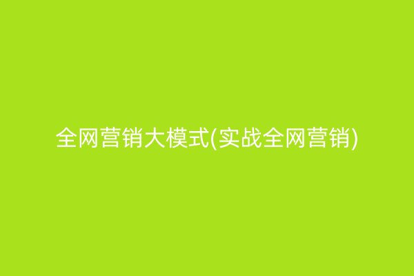 全網(wǎng)營銷大模式(實戰(zhàn)全網(wǎng)營銷)