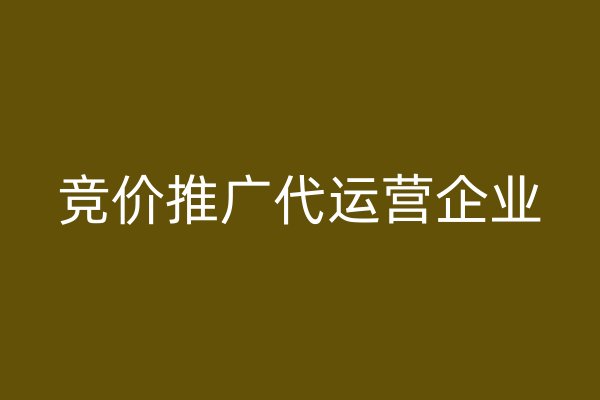 競(jìng)價(jià)推廣代運(yùn)營(yíng)企業(yè)