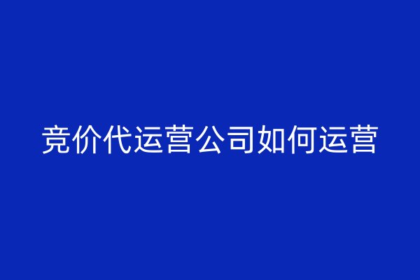 競價(jià)代運(yùn)營公司如何運(yùn)營