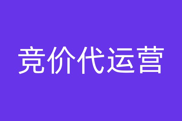 競價(jià)代運(yùn)營