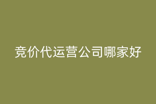 競價(jià)代運(yùn)營公司哪家好
