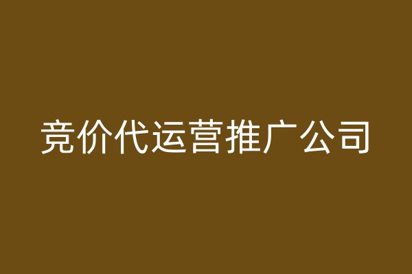 競價代運(yùn)營推廣公司