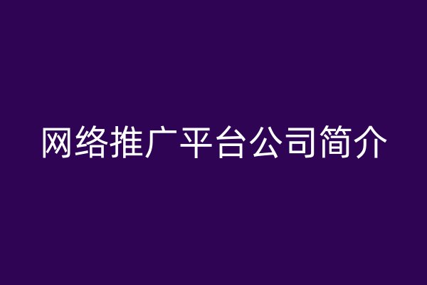 網(wǎng)絡(luò)推廣平臺(tái)公司簡(jiǎn)介