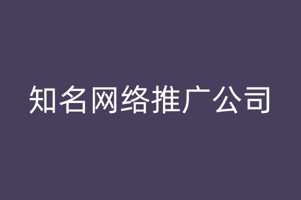 知名網(wǎng)絡(luò)推廣公司