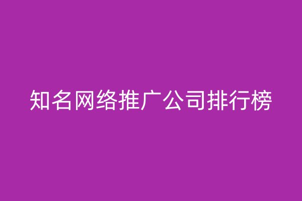 知名網(wǎng)絡(luò)推廣公司排行榜