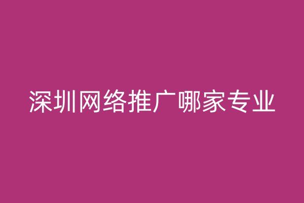 深圳網(wǎng)絡(luò)推廣哪家專業(yè)