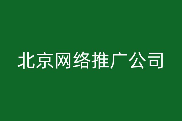 北京網(wǎng)絡(luò)推廣公司