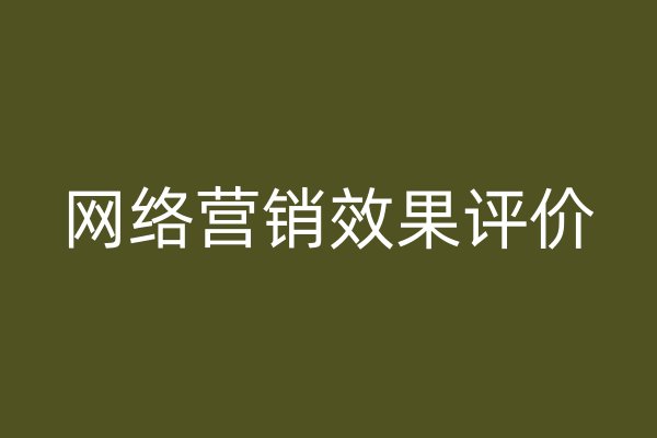 網(wǎng)絡(luò)營(yíng)銷(xiāo)效果評(píng)價(jià)