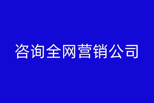 咨詢?nèi)W(wǎng)營銷公司