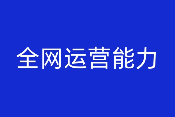全網(wǎng)運(yùn)營(yíng)能力