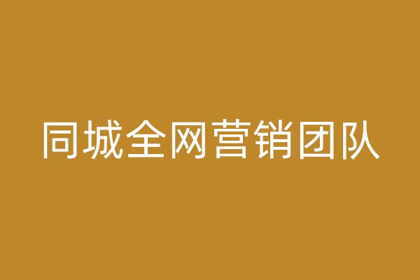 同城全網(wǎng)營銷團(tuán)隊(duì)