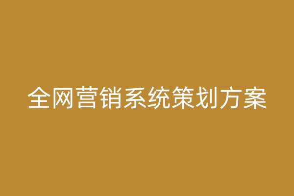 全網(wǎng)營(yíng)銷系統(tǒng)策劃方案
