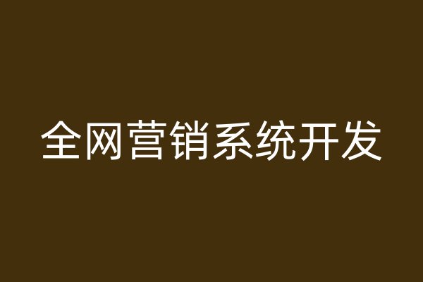 全網(wǎng)營銷系統(tǒng)開發(fā)