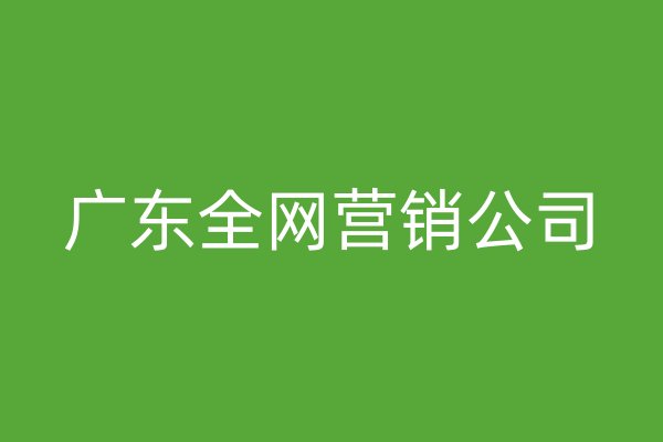 廣東全網(wǎng)營(yíng)銷公司