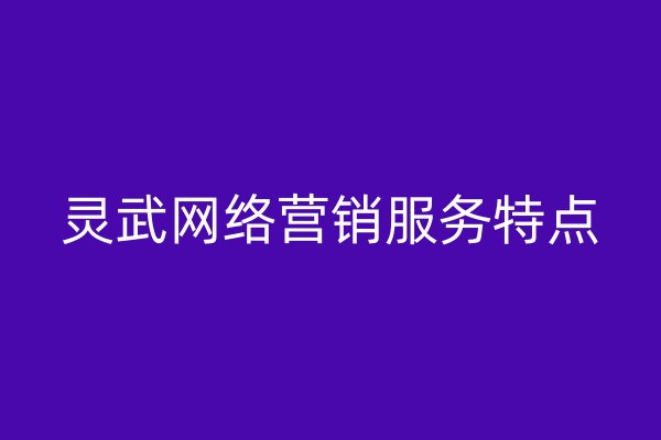 靈武網(wǎng)絡(luò)營銷服務(wù)特點