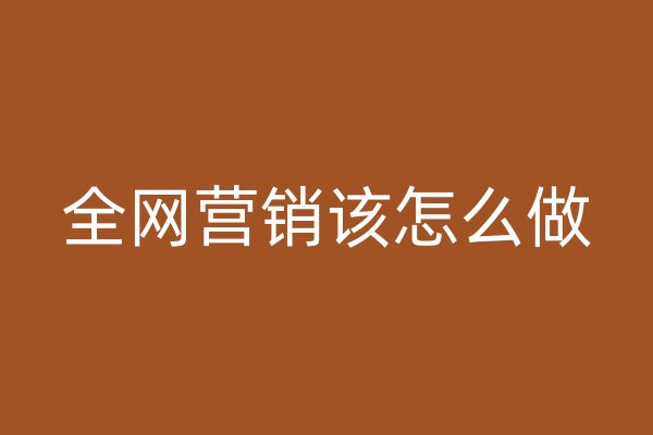 全網(wǎng)營銷該怎么做