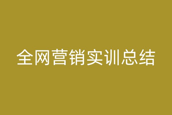 全網(wǎng)營銷實訓(xùn)總結(jié)