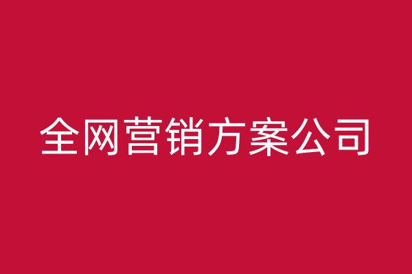全網(wǎng)營銷方案公司