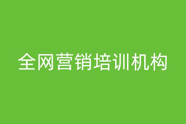 全網(wǎng)營(yíng)銷培訓(xùn)機(jī)構(gòu)