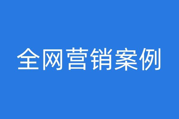 全網(wǎng)營銷案例