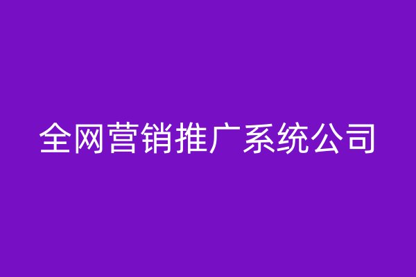 全網(wǎng)營(yíng)銷推廣系統(tǒng)公司