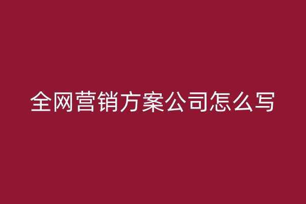 全網(wǎng)營(yíng)銷(xiāo)方案公司怎么寫(xiě)