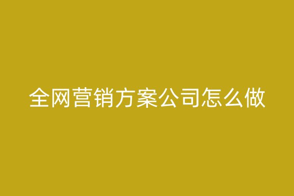 全網(wǎng)營(yíng)銷方案公司怎么做