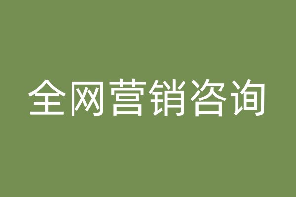 全網營銷咨詢