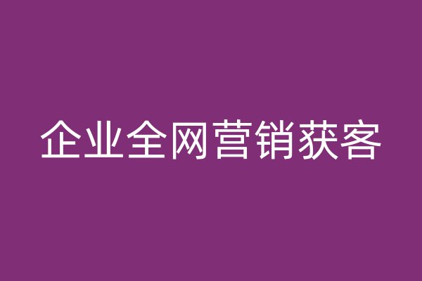 企業(yè)全網(wǎng)營銷獲客