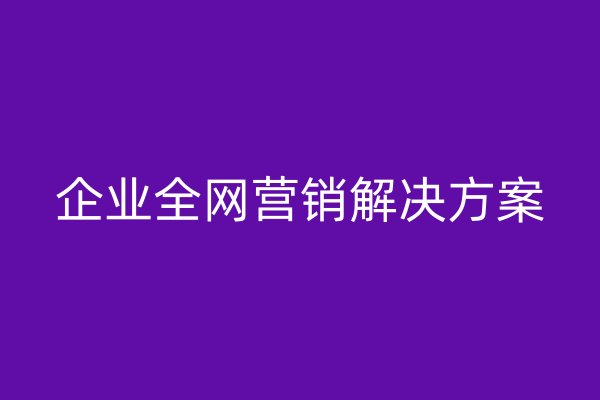 企業(yè)全網(wǎng)營銷解決方案