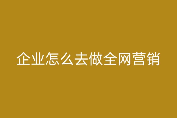 企業(yè)怎么去做全網(wǎng)營銷