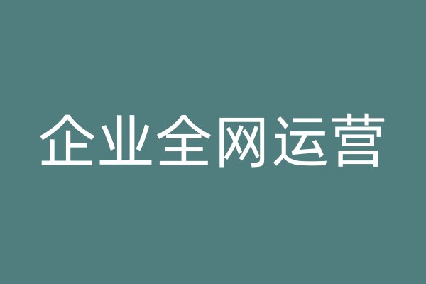 企業(yè)全網(wǎng)運營