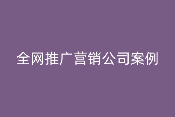 全網(wǎng)推廣營(yíng)銷公司案例