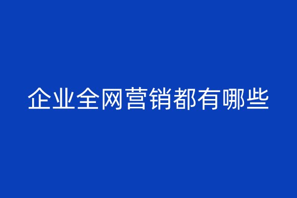 企業(yè)全網(wǎng)營銷都有哪些