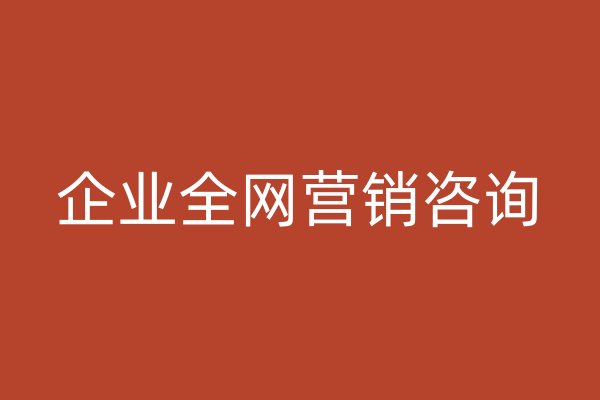 企業(yè)全網(wǎng)營銷咨詢
