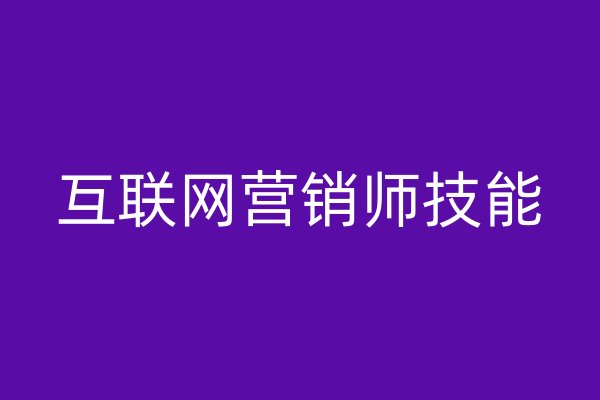 互聯(lián)網(wǎng)營銷師技能
