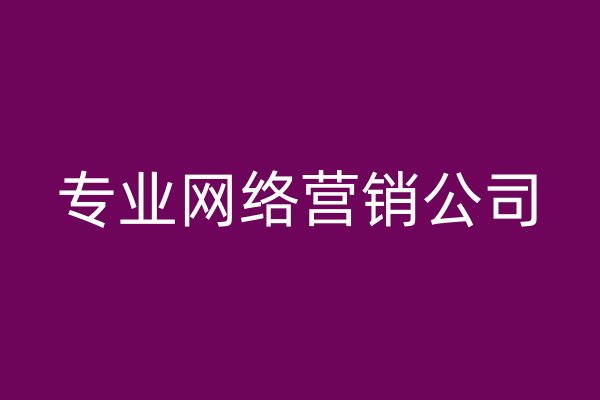 專業(yè)網(wǎng)絡(luò)營銷公司