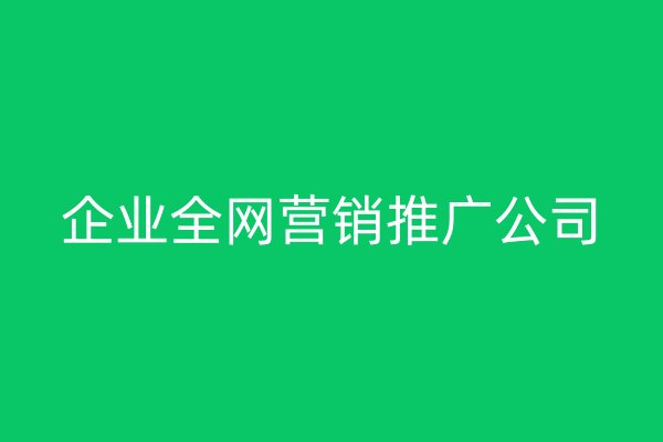 企業(yè)全網(wǎng)營(yíng)銷推廣公司
