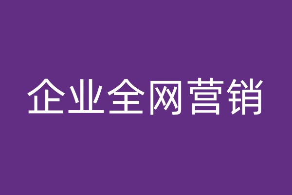 企業(yè)全網(wǎng)營銷
