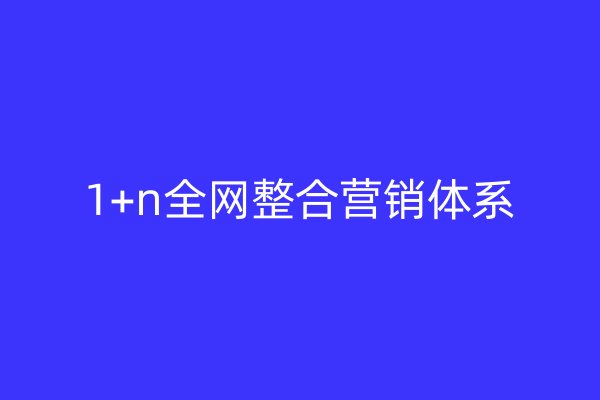 1+n全網(wǎng)整合營銷體系