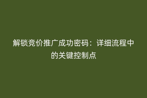 解鎖競(jìng)價(jià)推廣成功密碼：詳細(xì)流程中的關(guān)鍵控制點(diǎn)
