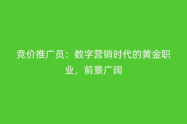 競(jìng)價(jià)推廣員：數(shù)字營(yíng)銷(xiāo)時(shí)代的黃金職業(yè)，前景廣闊