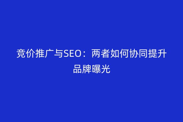競價推廣與SEO：兩者如何協(xié)同提升品牌曝光