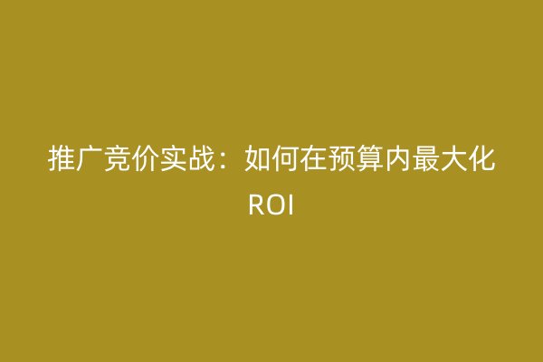 推廣競價(jià)實(shí)戰(zhàn):如何在預(yù)算內(nèi)最大化ROI
