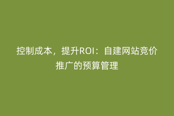 控制成本，提升ROI：自建網(wǎng)站競價(jià)推廣的預(yù)算管理