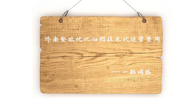 濟南整站優(yōu)化白帽技術(shù)代運營費用